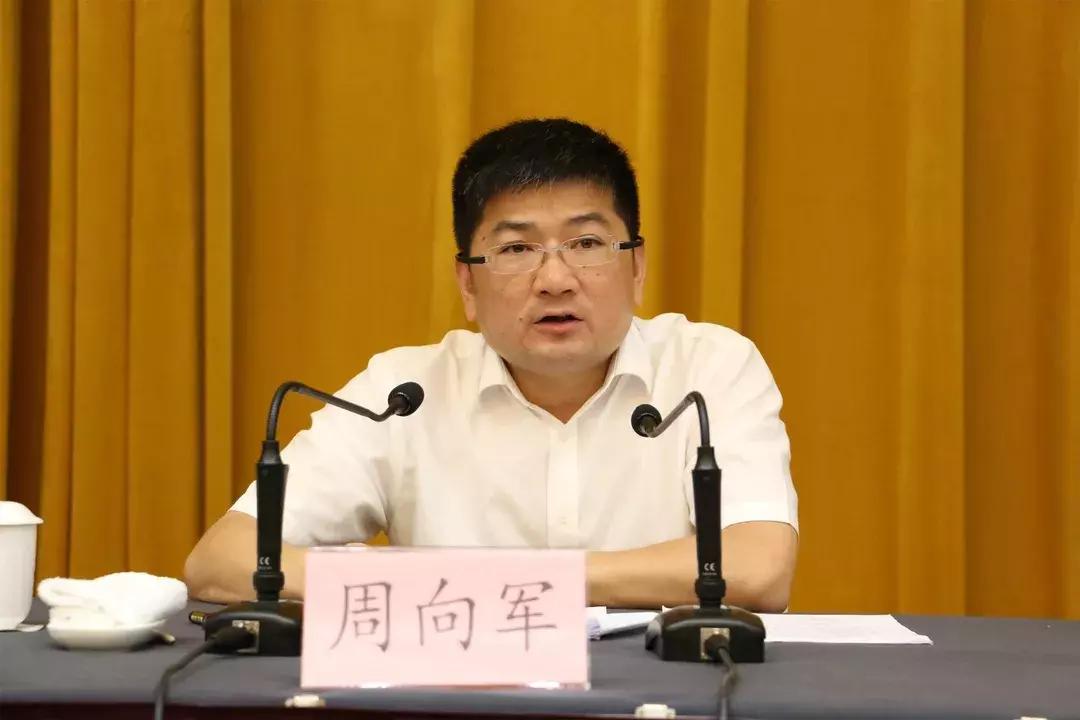手机国补新政策实施，行业变革与市场影响分析（1月20日正式启动）