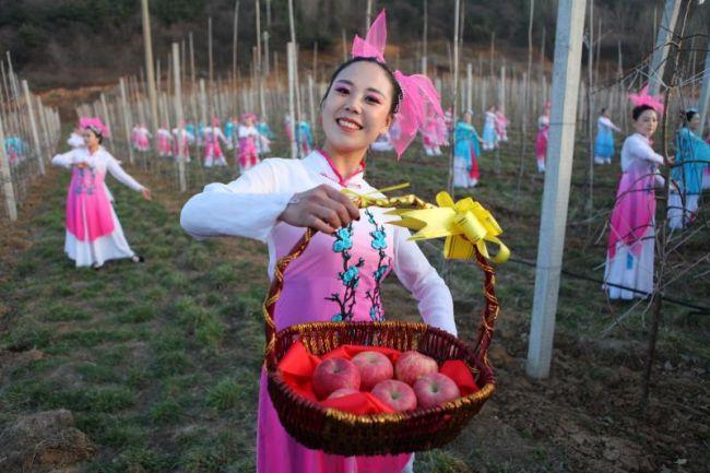 国补政策背景下的手机市场，以苹果在河南的发展为案例