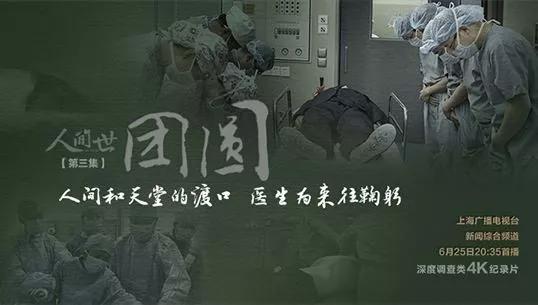 疫情下的残酷真相，人性的试炼与社会的裂痕