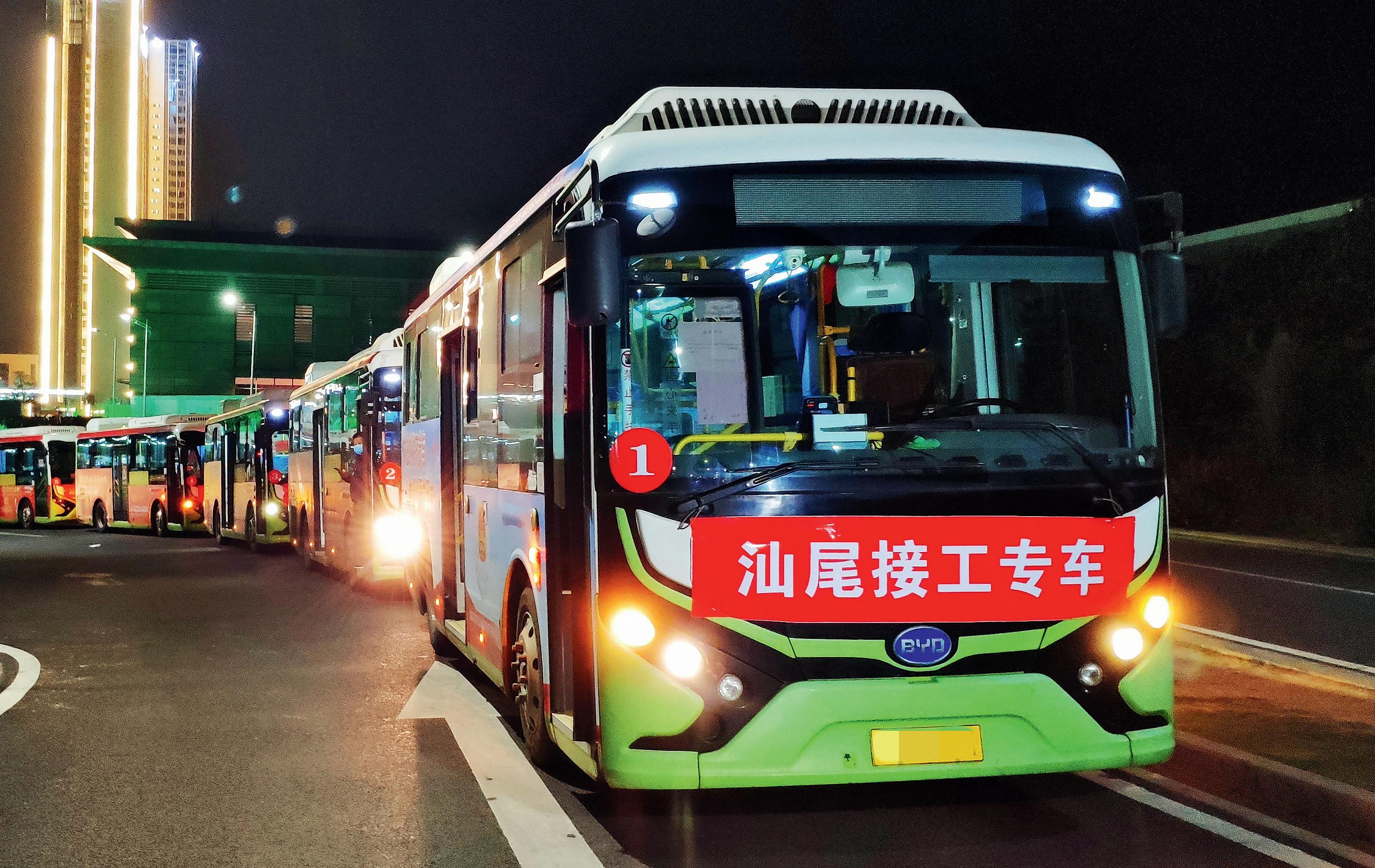 新冠疫情的全球影响与应对策略，深度解析疫情背后的真相