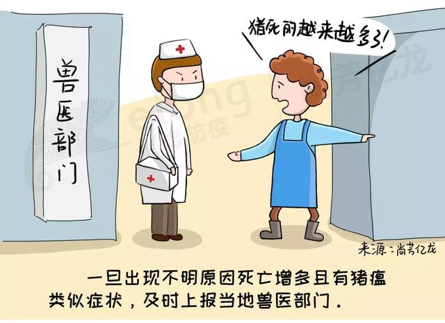 疫情防控下的生活变迁，深度剖析与民众思考