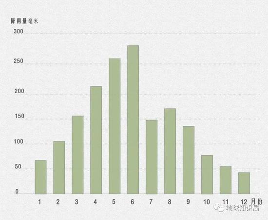 重庆疫情根源探析，疫情的起源与传播路径