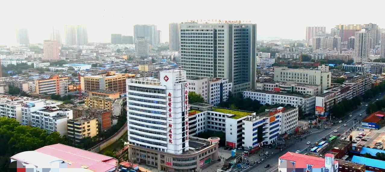 全球公共卫生危机，2020年新冠肺炎疫情下的人类社会共同应对