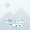 疫情下的温暖与希望，手抄报内容创作指南