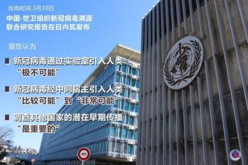 武汉，新冠疫情的起源与风暴眼