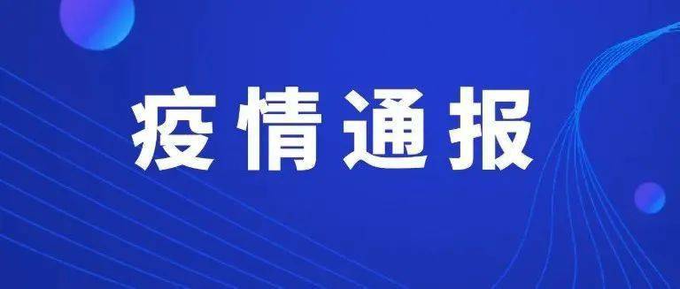 2025年上海疫情，精准防控与民生保障的双重奏鸣
