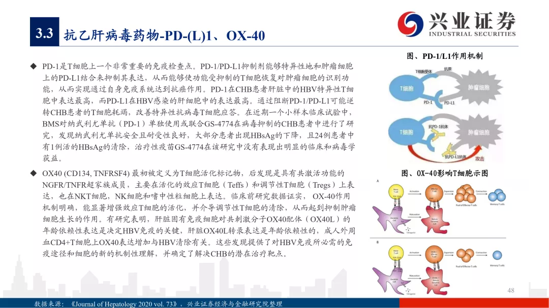2019疫情，全球公共卫生事件的深度剖析与启示