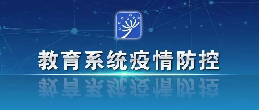 央视网新冠肺炎疫情节目，信息传递的桥梁与公众健康的守护者