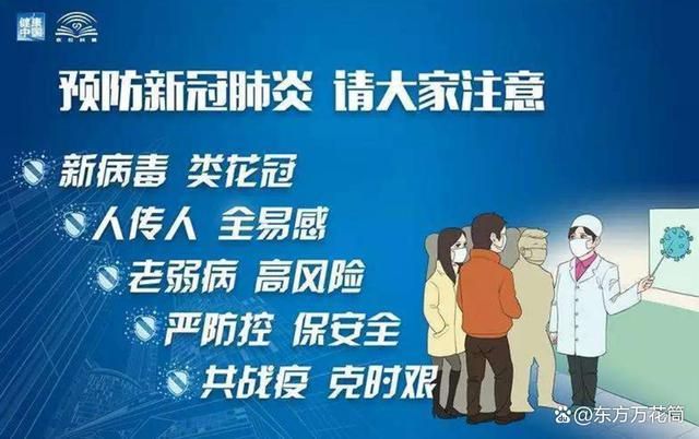 疫情下的全球挑战，新冠肺炎的深度解析与应对策略