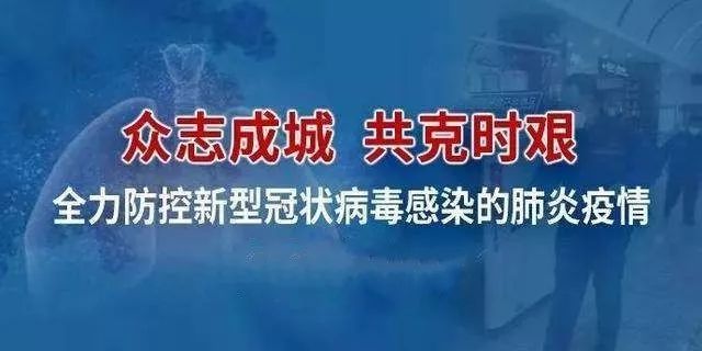 众志成城，共克时艰，抗击新冠疫情的全球团结行动