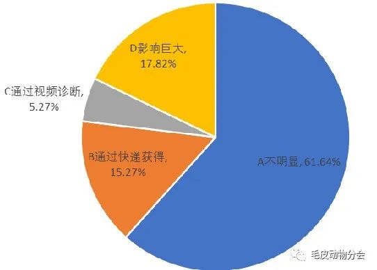 全球视角下的新型冠状病毒疫情，影响与防控策略