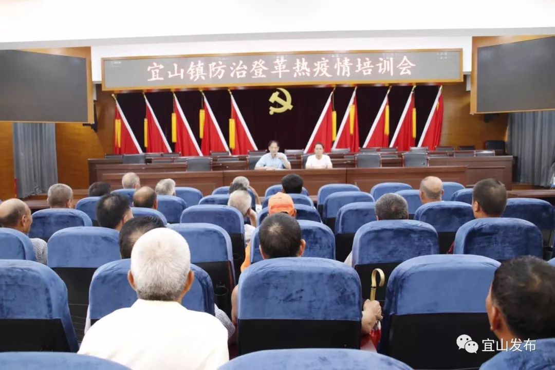 广东登革热疫情最新动态，防控措施与公众健康指南