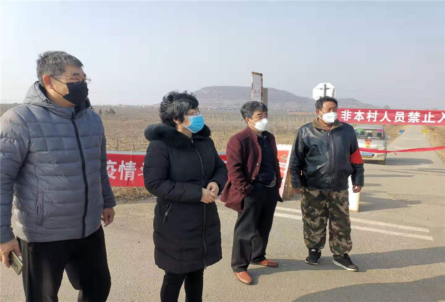 山东省栖霞官道镇大丁家新冠疫情，挑战与应对策略