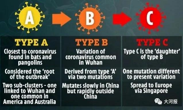 疫情最新病毒变异，挑战与应对策略