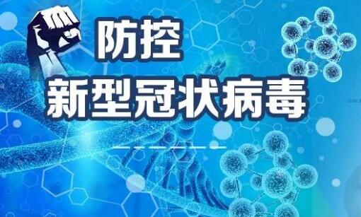 2022年新冠疫情，全球挑战、科技应对与未来展望
