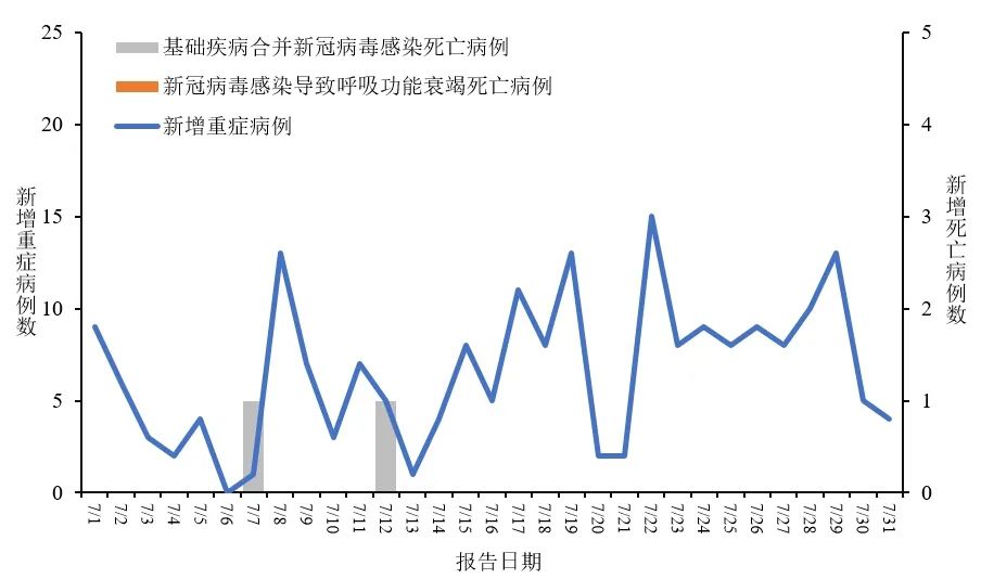 全球疫情视角下的新冠疫情新闻与影响