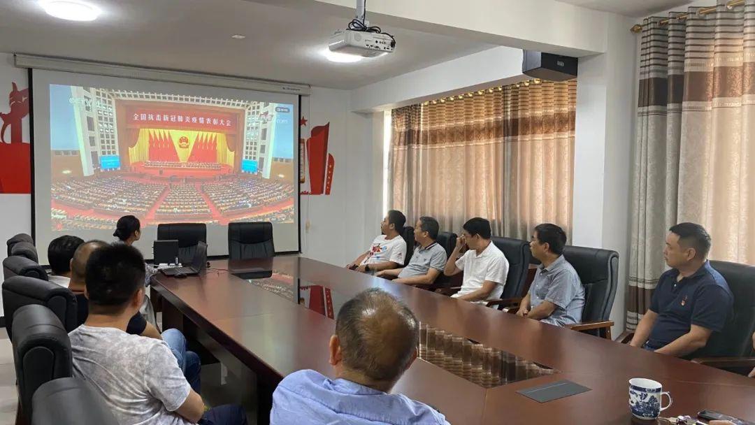 疫情之声，新冠疫情配音素材下载的实用指南