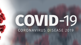 COVID-19疫情，英语演讲概述