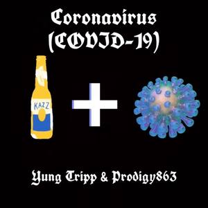 COVID-19疫情，全球社会的全面概述及其影响