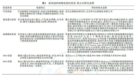 全球疫情挑战下的英语词汇解析，聚焦新冠疫情热点