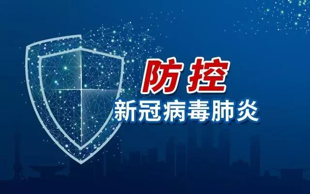 全球视角下的新冠状病毒肺炎疫情，挑战、应对与未来展望