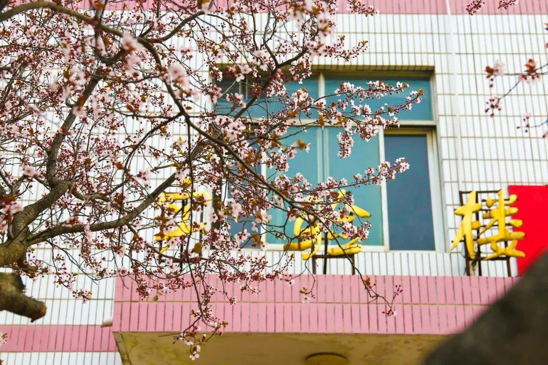 体育 第16页