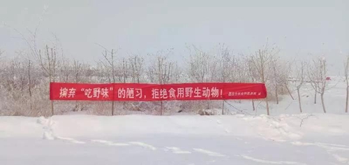 微光汇聚成海，疫情期间的温暖力量，共筑希望之桥