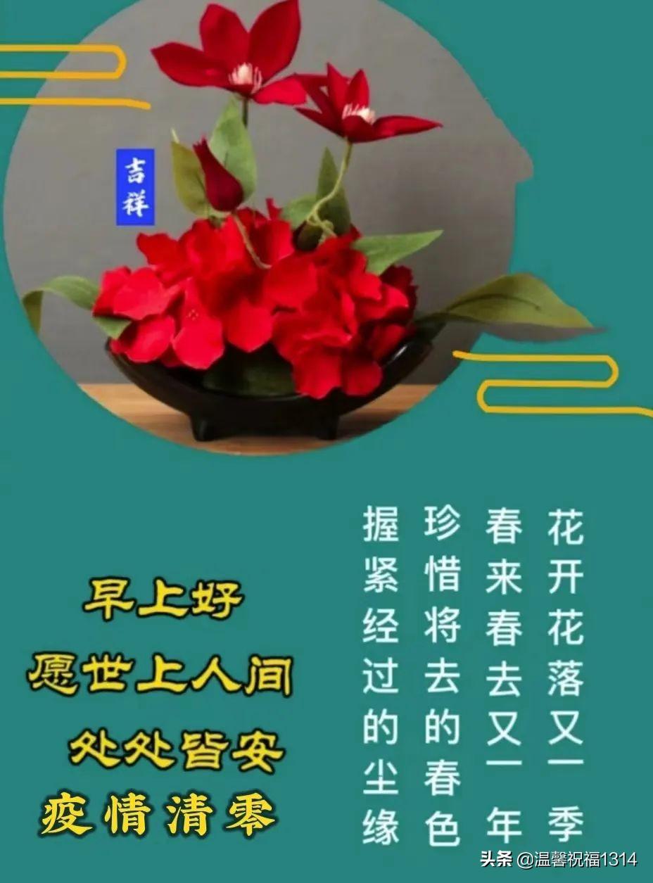 娱乐 第12页