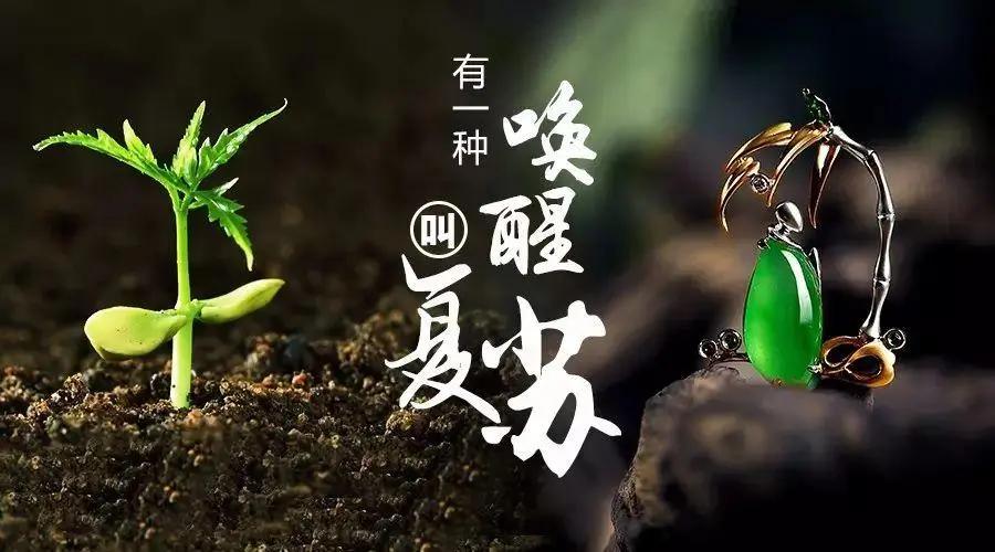 春日里的云聚会，疫情时期最难忘的线上相聚时刻