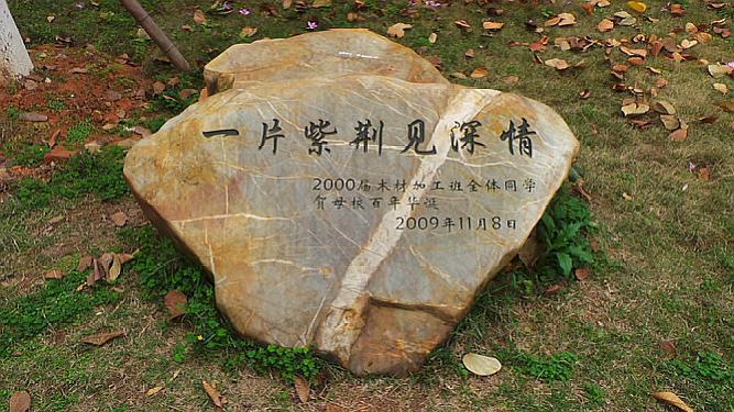 疫情微光，汇聚温暖，共筑希望之桥