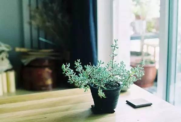 疫情下的温暖光芒，那些触动心灵的感人故事