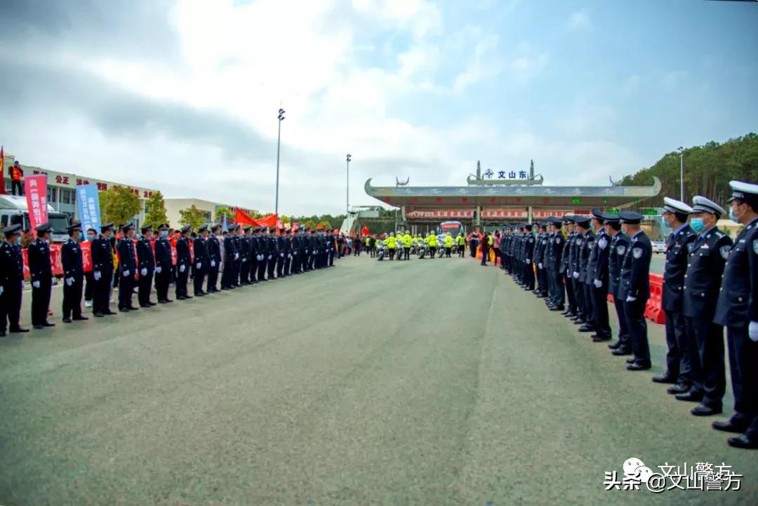 疫情回忆录，时代印记与心灵共鸣的深刻感悟