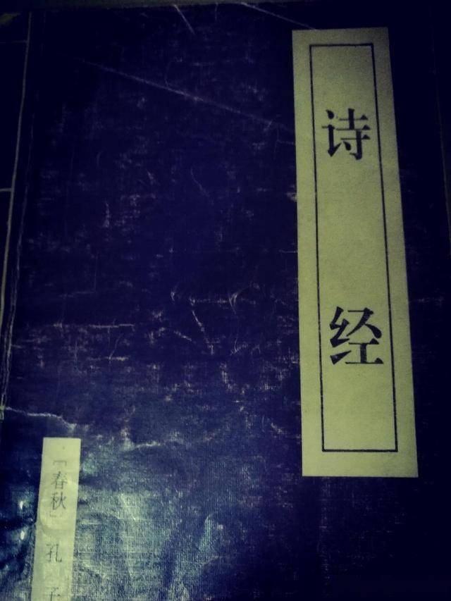 静默时光中的温暖与坚韧，疫情回忆录