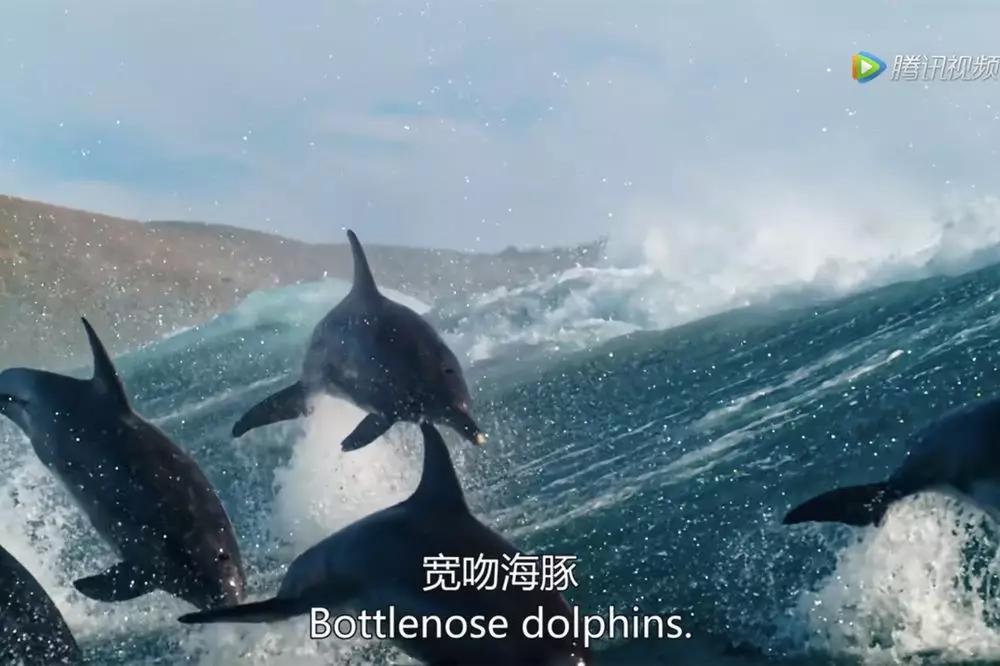 疫情下的生活画卷，一部未完待续的纪录片