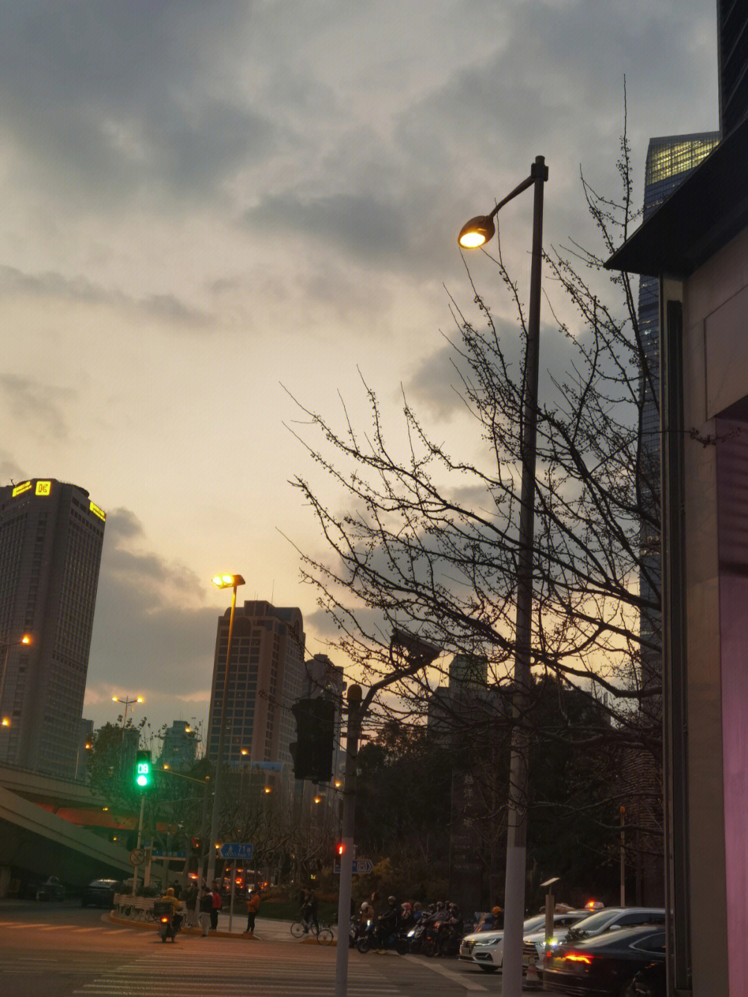 怀念疫情时期的宁静与温情，一段被遗忘的时光