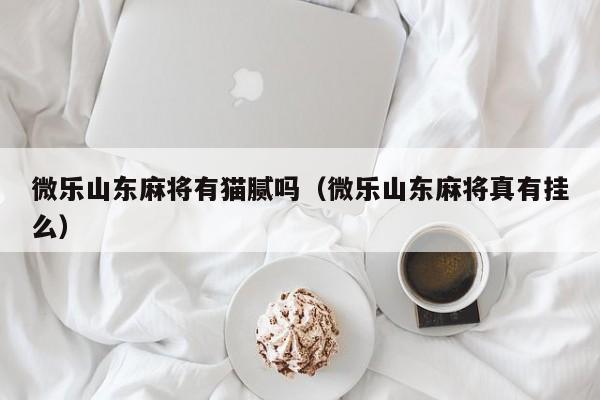 微乐山东麻将有猫腻吗（微乐山东麻将真有挂么）