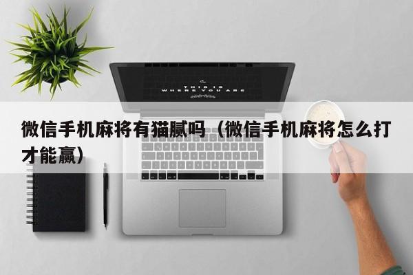 微信手机麻将有猫腻吗（微信手机麻将怎么打才能赢）