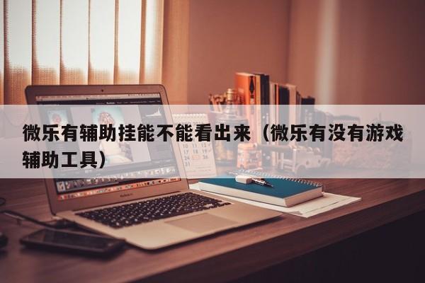 微乐有辅助挂能不能看出来（微乐有没有游戏辅助工具）