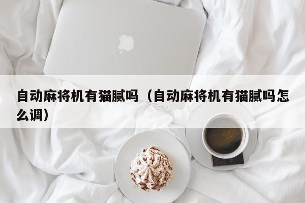 自动麻将机有猫腻吗（自动麻将机有猫腻吗怎么调）