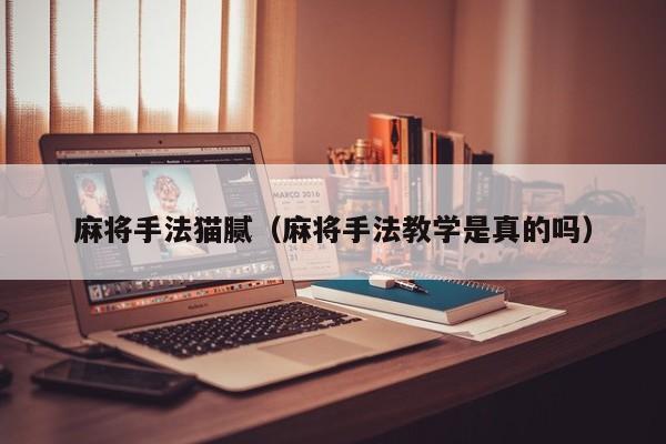 麻将手法猫腻（麻将手法教学是真的吗）