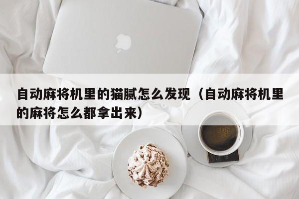 自动麻将机里的猫腻怎么发现（自动麻将机里的麻将怎么都拿出来）