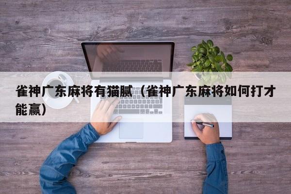 雀神广东麻将有猫腻（雀神广东麻将如何打才能赢）
